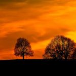 让爸爸干一次再写作业 4l74pg