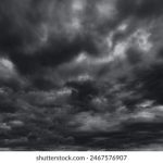 青青青在线播放2019 50mawi833v