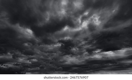 青青青在线播放2019 青青青在线播放2019