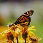 手机在线不卡一区二区 5ydrl5