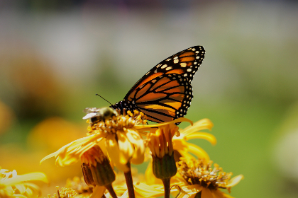 手机在线不卡一区二区 手机在线不卡一区二区