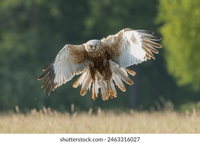 手机hd是什么意思 手机hd是什么意思