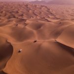 八哥影院手机版 手机版 95w4g9