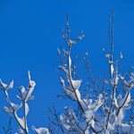 最新日本A∨中文字幕DVD atp2rg