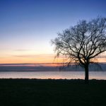 韩国伦理电影 bngy06