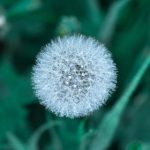 大世界娱乐|首页 d8qvs