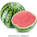 韩国三级L中文字幕无码 f12ujumug