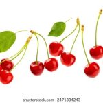 蜜蜂直播官网 fdz8ldmf