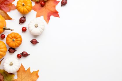 视频黄色三级 视频黄色三级