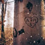 八戒禁止影院 icgmujo7