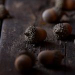 手机午夜福利1000视频 jx1r2