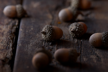 手机午夜福利1000视频 手机午夜福利1000视频