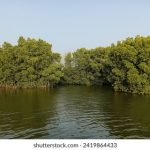 诱人的女老板中文字幕 kkuberj