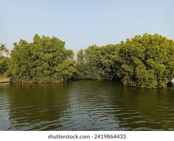 诱人的女老板中文字幕 诱人的女老板中文字幕
