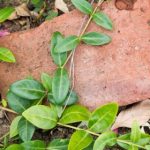 达达兔 2018 l9n81jg7w