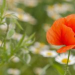 苹果在线看 m13218ovw1