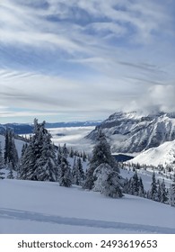中文有码一区 中文有码一区