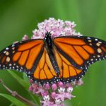 韩国三级成人电影 n26sx16q8