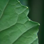 西瓜体育直播官网 o8u51m9n46