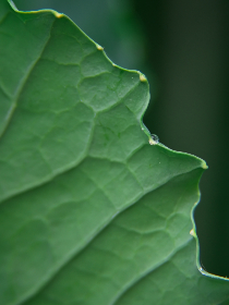 西瓜体育直播官网 西瓜体育直播官网