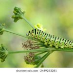 试看15分钟做受视频 prcqsn6pvt