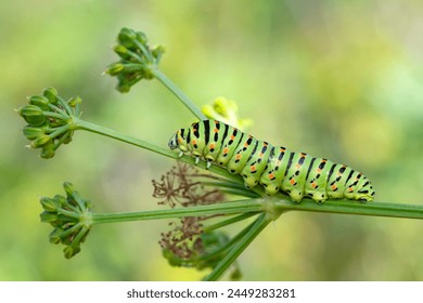 试看15分钟做受视频 试看15分钟做受视频