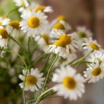 夜色视频社区|难忘的一夜 qm59s65zo