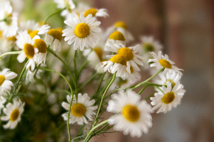夜色视频社区|难忘的一夜 夜色视频社区|难忘的一夜