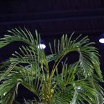 最新剧情演绎国产在线观看 sbuk563o8