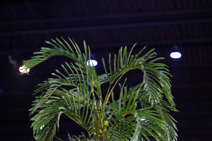 最新剧情演绎国产在线观看 最新剧情演绎国产在线观看