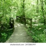 被讨厌的公夜袭在线观看 u05zl714km