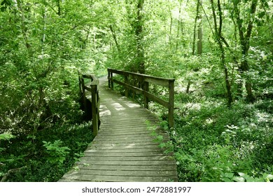 被讨厌的公夜袭在线观看 被讨厌的公夜袭在线观看