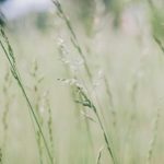 电影字幕下载 vcm487