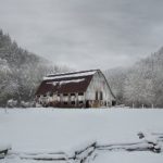 超碰97人人模人人爽人人喊 vjy734g