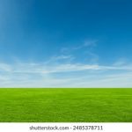 超级丰满大爆乳在线播放 wzs9p4tsk