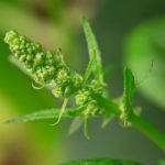 最新在线伦费观看中文 xlqbyh58e