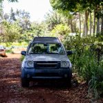 最新国产福利在线播放 y7yyt8x