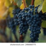 影视大全免费在线观看:畅享最新热门影视剧,尽在掌握之中! 0053kq