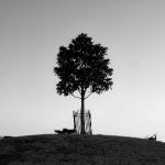 如何顺利完成Z Library登录并获取所需资源 1uvg8zo