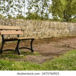 全面解析BT磁力搜索种子的使用技巧与资源 23mwkzo8t