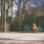 吃瓜官网入口:最新资讯一手掌握,精彩内容尽在其中 34za65