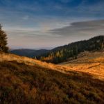 全面解析BT网址大全导航:资源获取与使用技巧 3eyf69x1