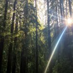 吃瓜最新视频:揭露娱乐圈最新八卦内幕与精彩瞬间 411u0p14