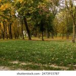 tv123.com的备案信息:详细解析与最新动态一览 5pgwphgfa