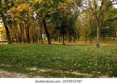 tv123.com的备案信息:详细解析与最新动态一览 tv123.com的备案信息:详细解析与最新动态一览