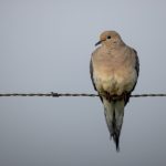 国外推荐网站:探索全球优质资源与实用平台的最佳选择 736ipc7izh