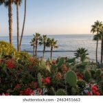 哔嘀影视app官方正版:畅享海量影视资源,尽在掌握之中! 7l30g9