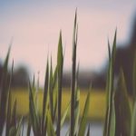 如何快速找到并下载Xtrfy驱动程序和软件 8gc293kym