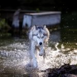 夸克网盘前缀怎么设置:详细步骤与实用技巧分享 9mqnj65