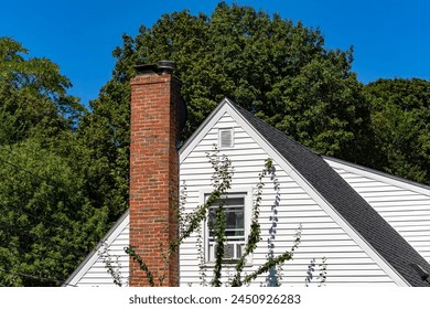 全面解析绅士之庭网站的使用方法与技巧 全面解析绅士之庭网站的使用方法与技巧